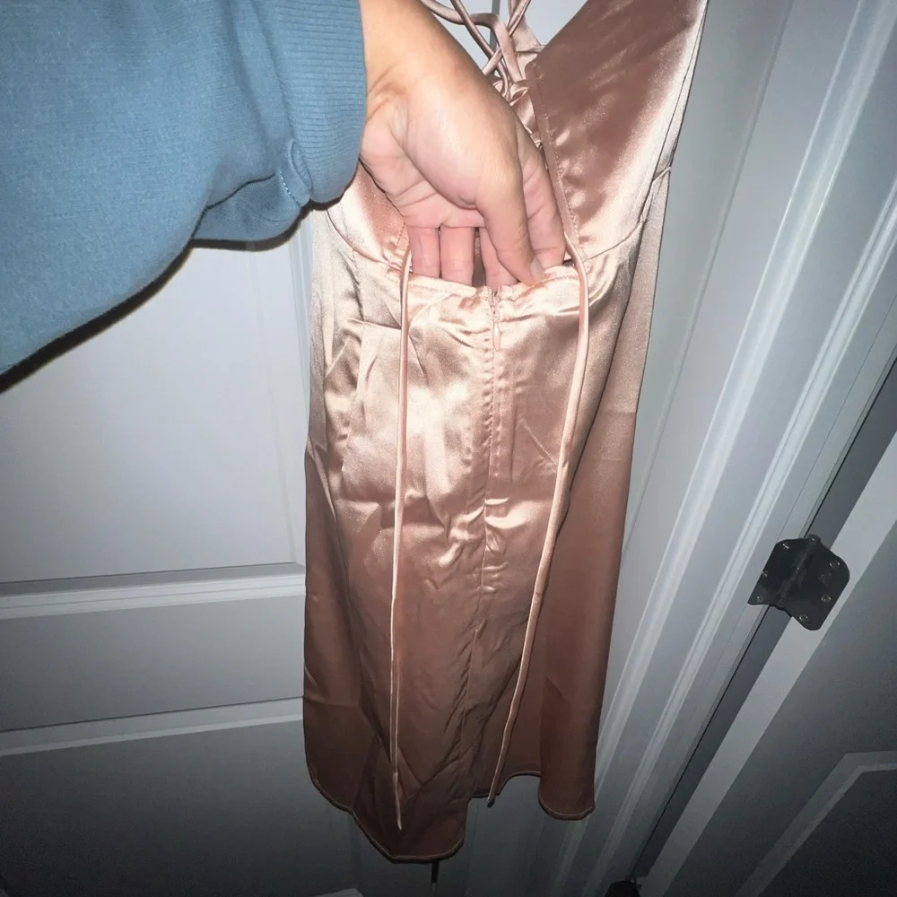 Never worn silk nude dress - Picture 4 of 7
